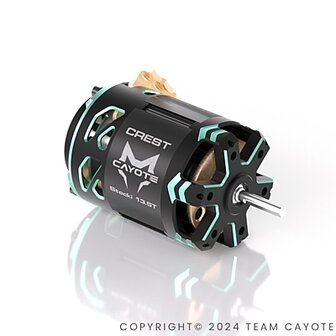 CAYOTE Crest Stocki 13.5T Brushless Motor