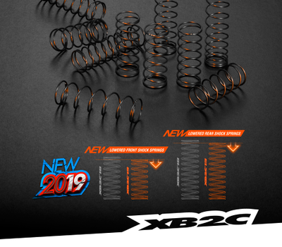 XRAY XB2 - 2019 Specs - 2WD 1/10 Electric Off-Road Carpet Edition - 320006