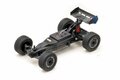 ABSIMA 1:24 2WD Racing Buggy 