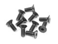 Xray Hex Screw Sfh M4x10 (10), X903410 - 903410